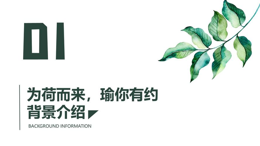 大型户外运动赛事交流展览活动暨颁奖活动文化节方案-策划方案-活动汪