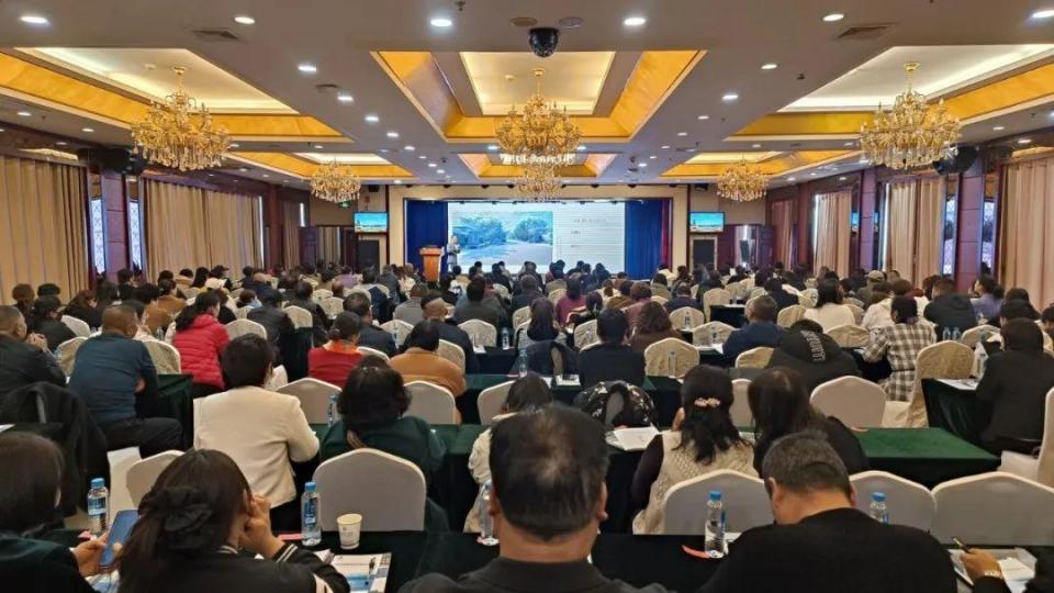 精彩2024 | 敦煌文化旅游绽放新光彩