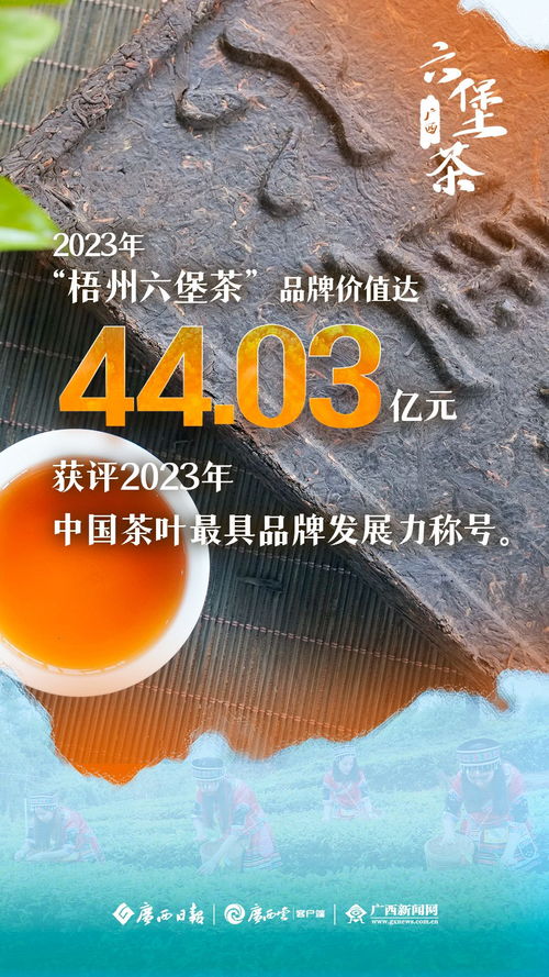 千年古茶万里香,广西六堡茶海外 圈粉
